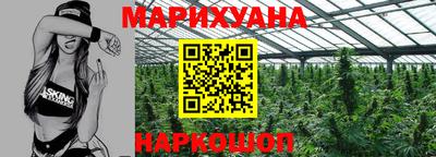 стаф Нальчик