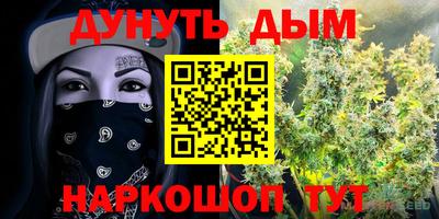 стаф Нальчик