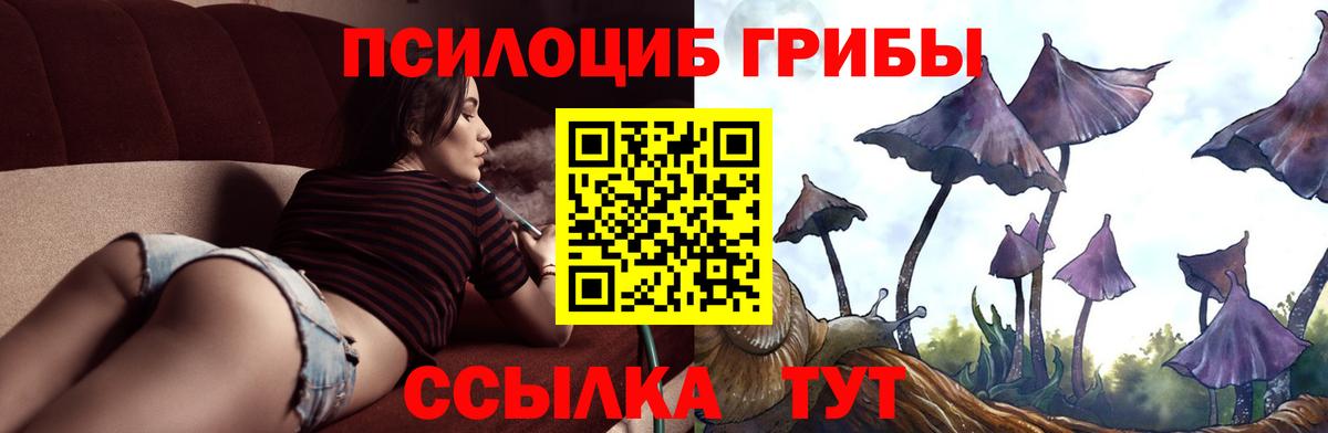 Фурманов  наркота  Вход с VPN  Галлюциногенные грибы Psilocybe 